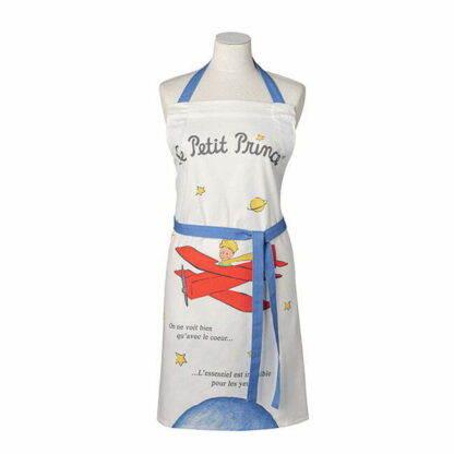 PETIT PRINCE L'AVION DE ST EX